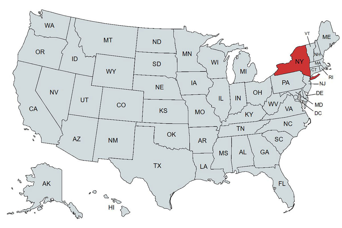 emu New York Representatives Map