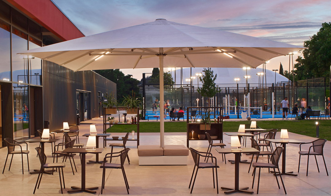 emu Darwin Collection