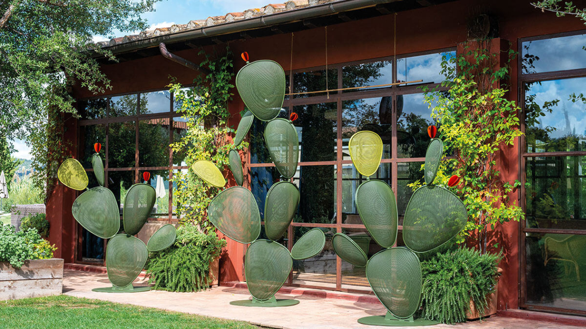 emu Cactus Collection