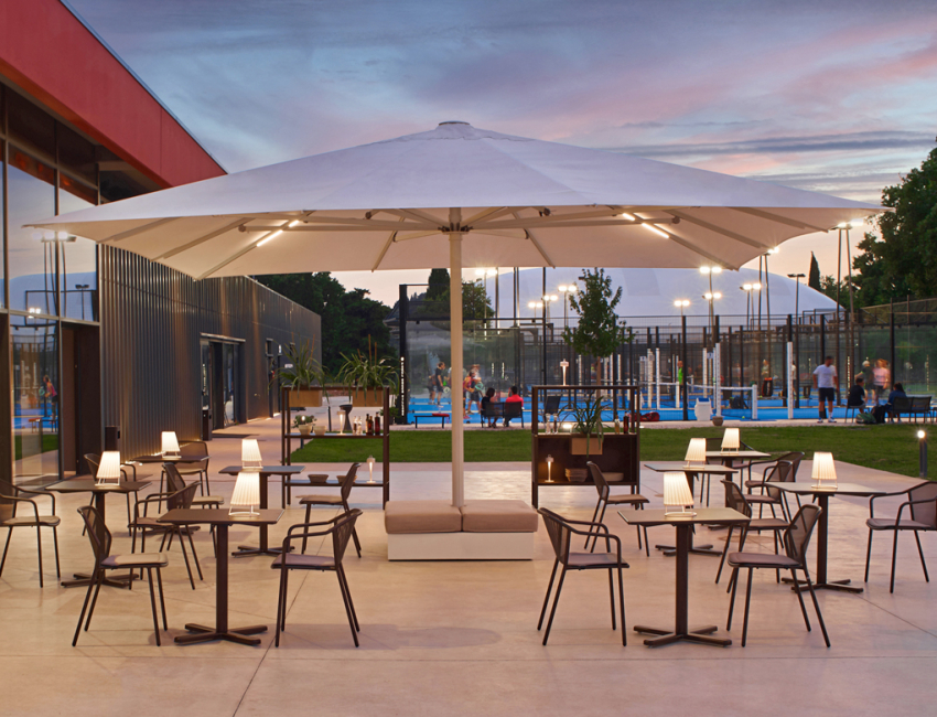 emu Darwin Collection