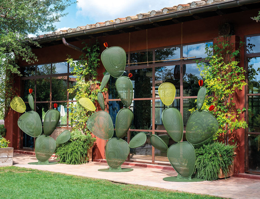 emu Cactus Collection